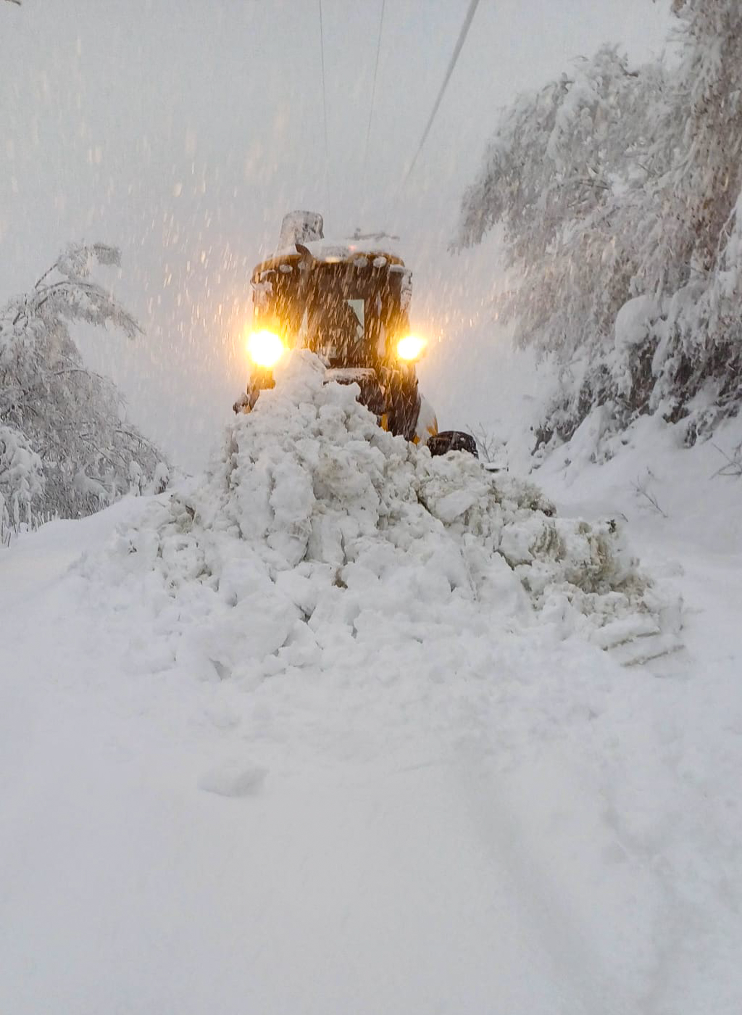 A A 20251229 40103823 40103819 Z O N G U L D A K T A 81 K O Y Y O L U K A R N E D E N I Y L E U L A S I M A K A P A N D I