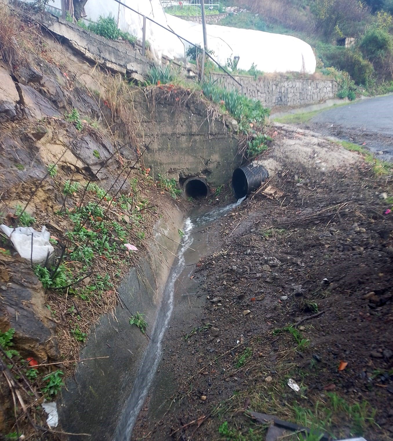 Whatsapp Image 2025 12 11 At 11.33.04 (2)