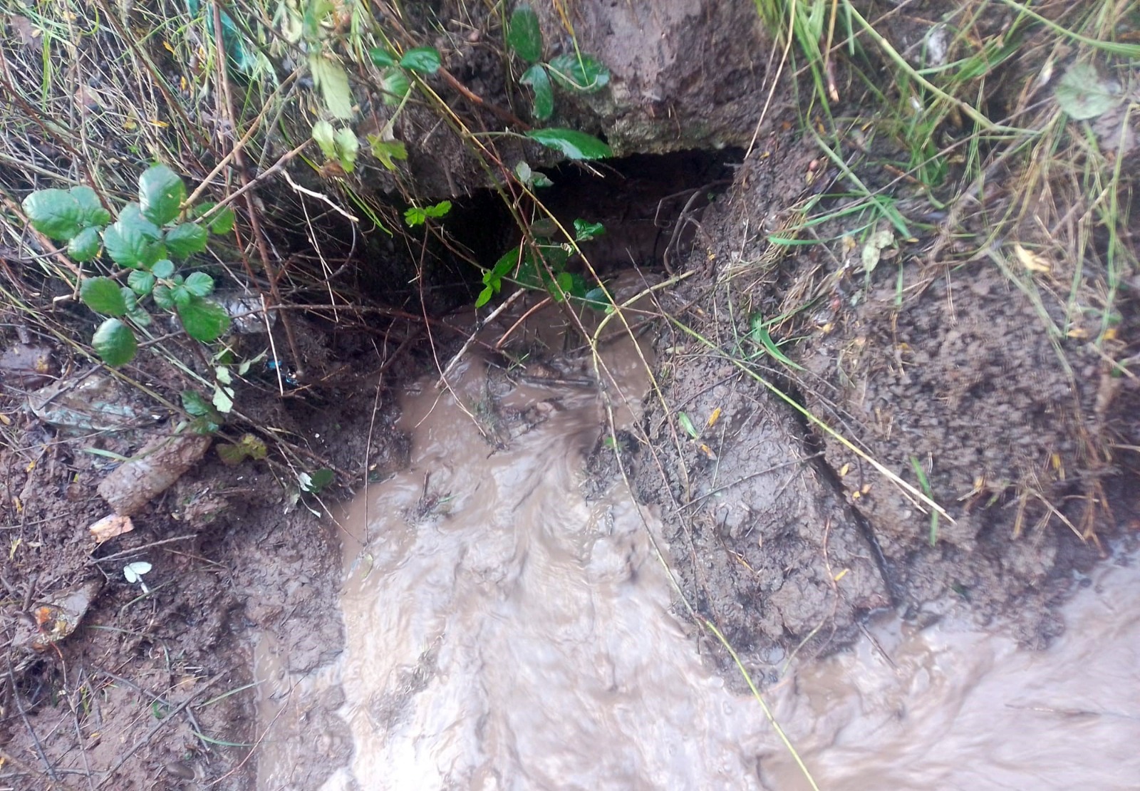 Whatsapp Image 2025 12 11 At 11.33.05