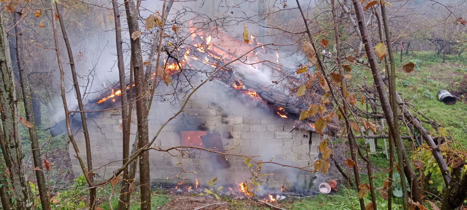 Whatsapp Image 2025 12 15 At 12.04.59