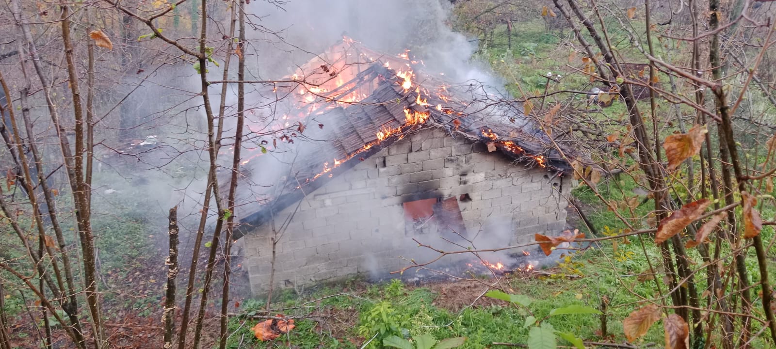 Whatsapp Image 2025 12 15 At 12.05.00