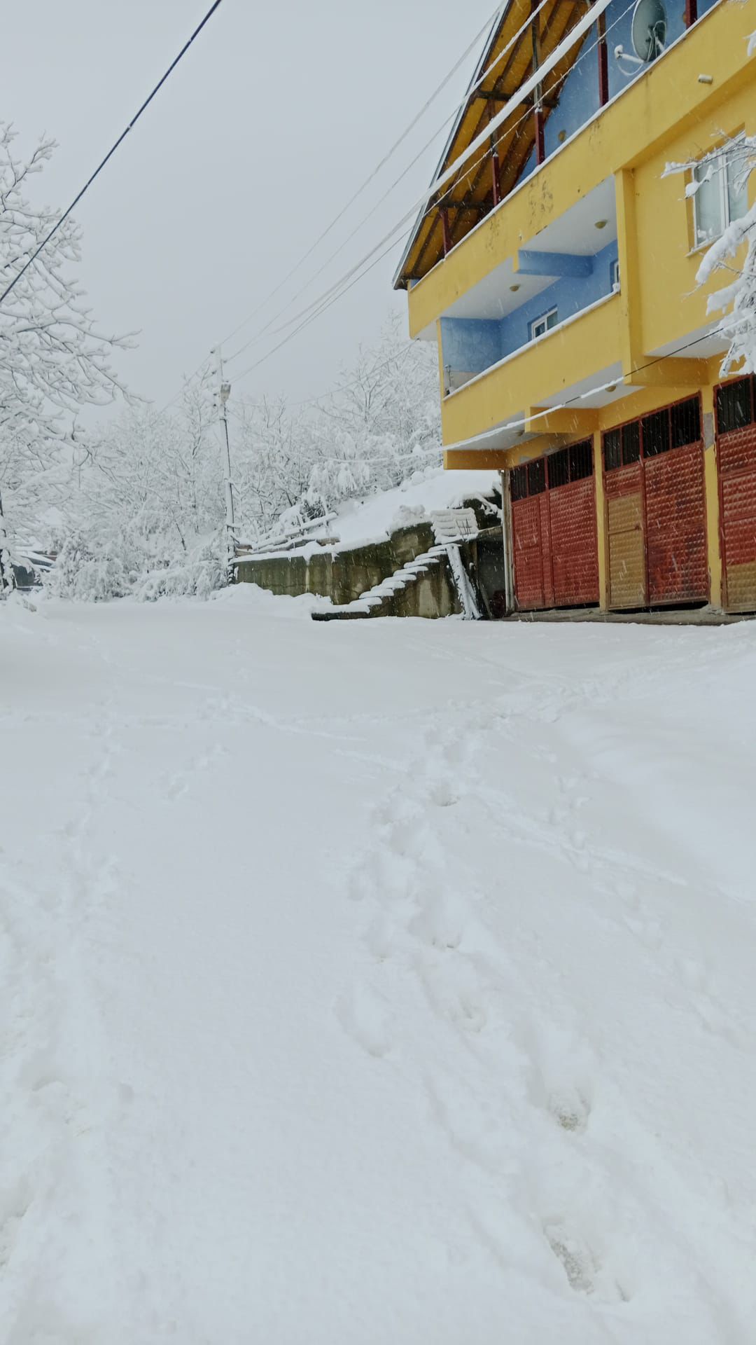 Whatsapp Image 2025 12 29 At 12.50.11 (1)