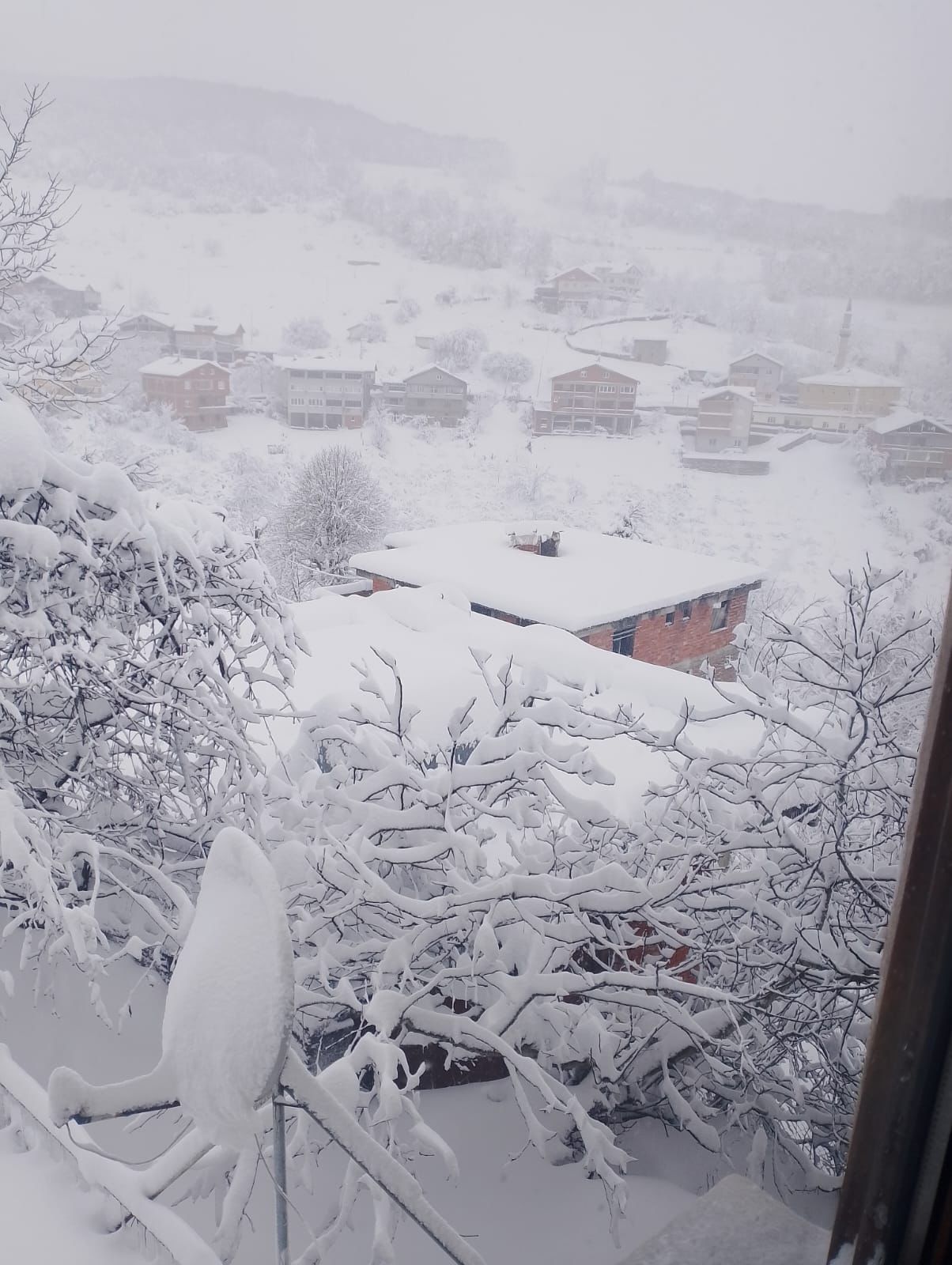 Whatsapp Image 2025 12 29 At 12.50.11