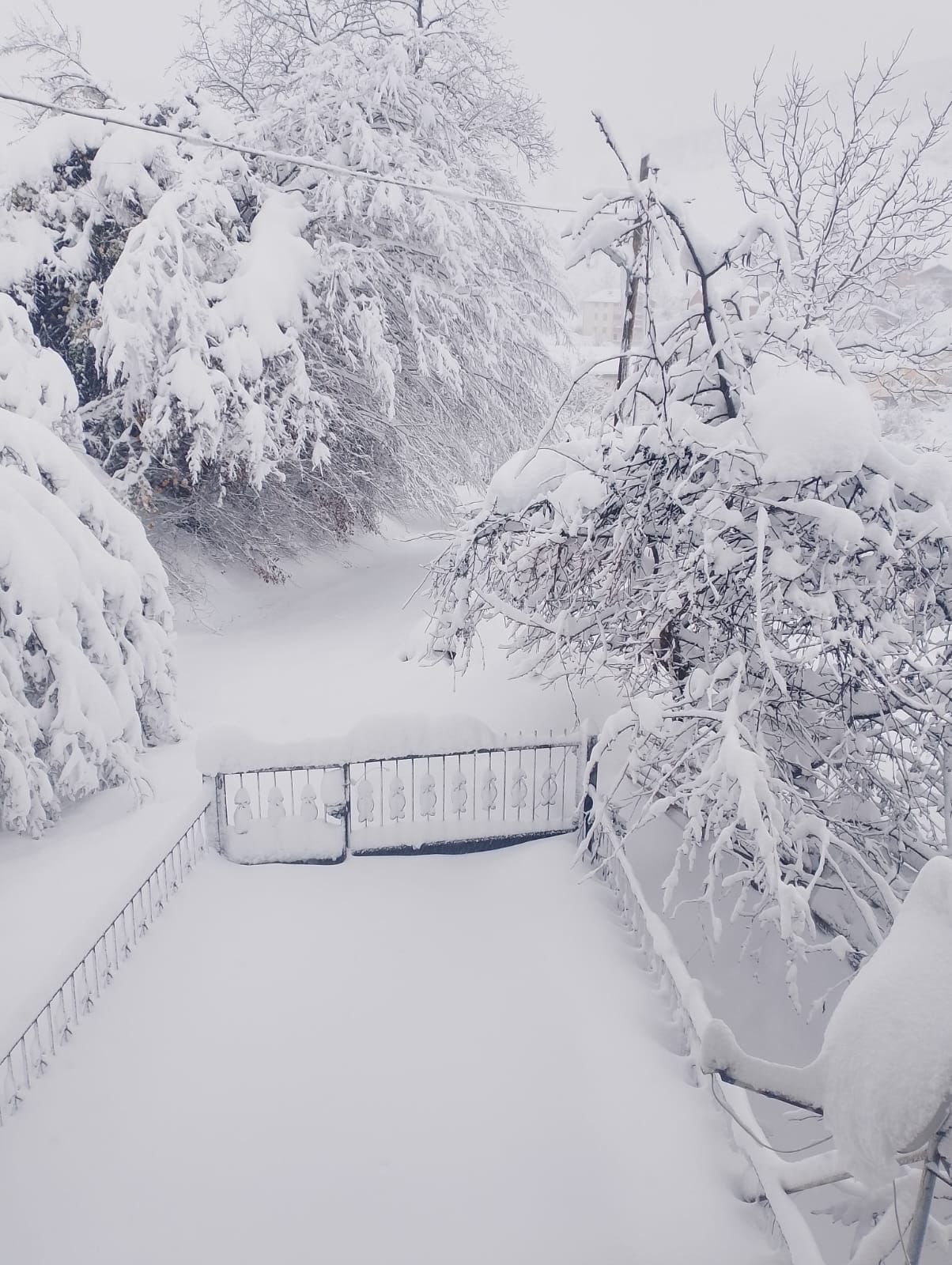 Whatsapp Image 2025 12 29 At 12.50.12 (1)