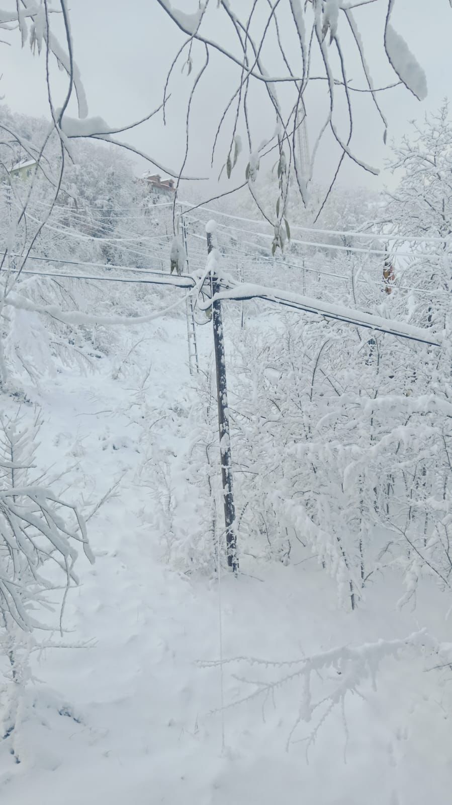 Whatsapp Image 2025 12 29 At 12.50.12 (2)