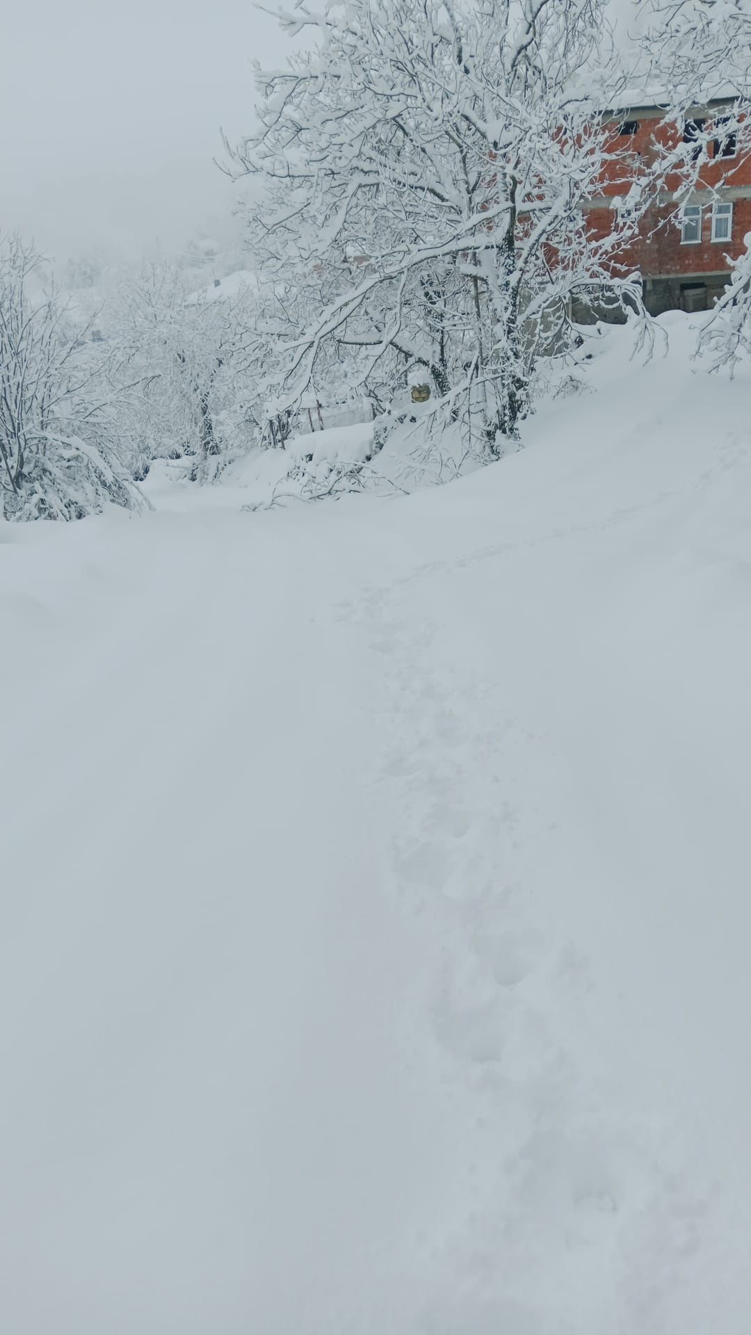 Whatsapp Image 2025 12 29 At 12.50.12