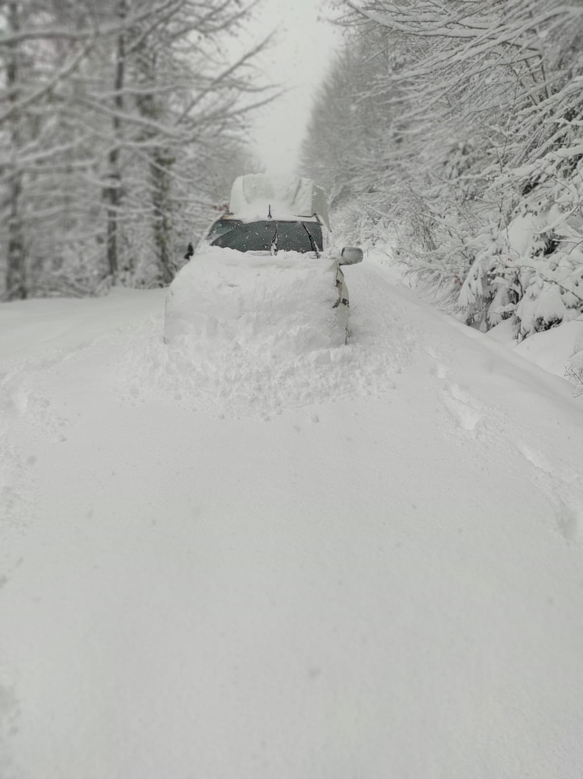 1767342606 Ba Kent E D A 1