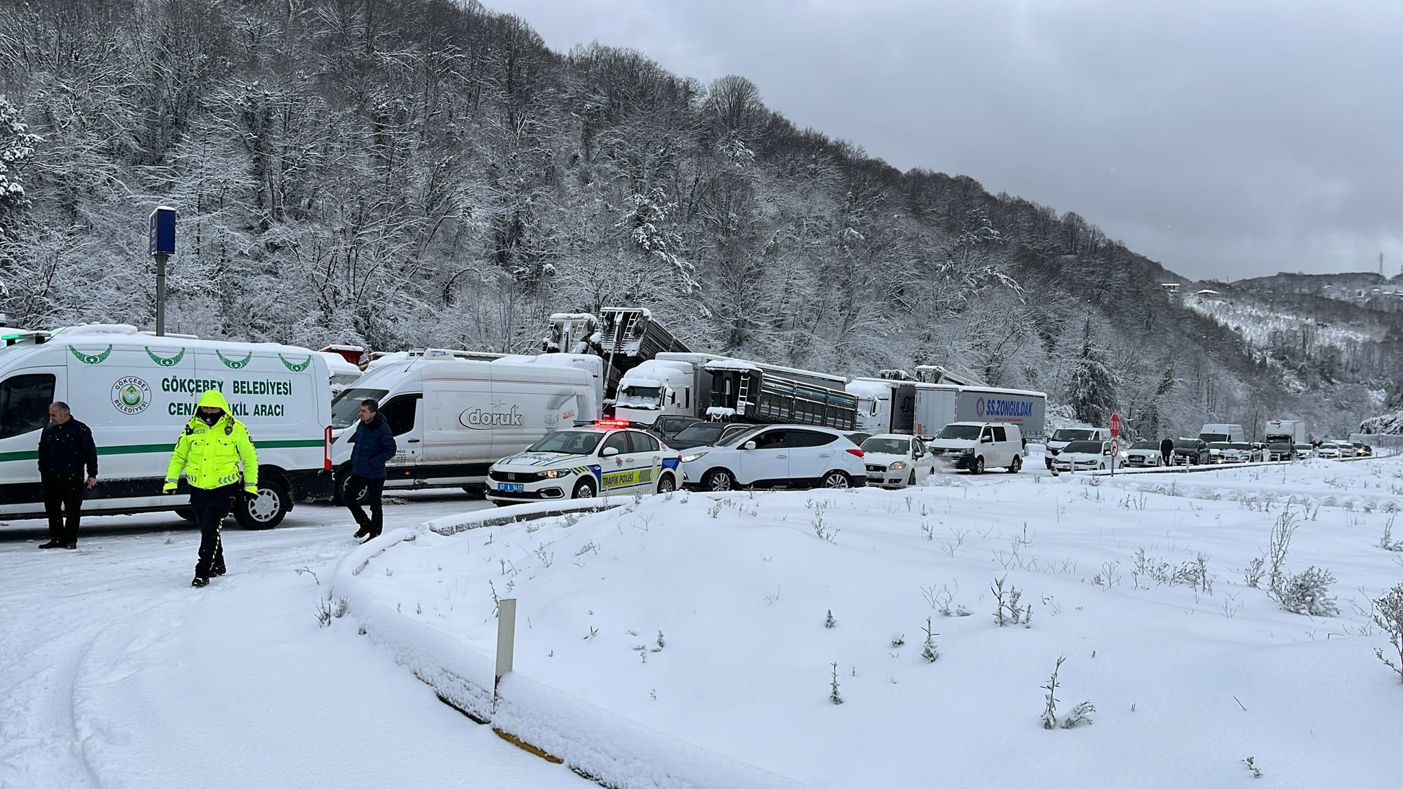 606837812 1290192139816123 6047469976901948369 N