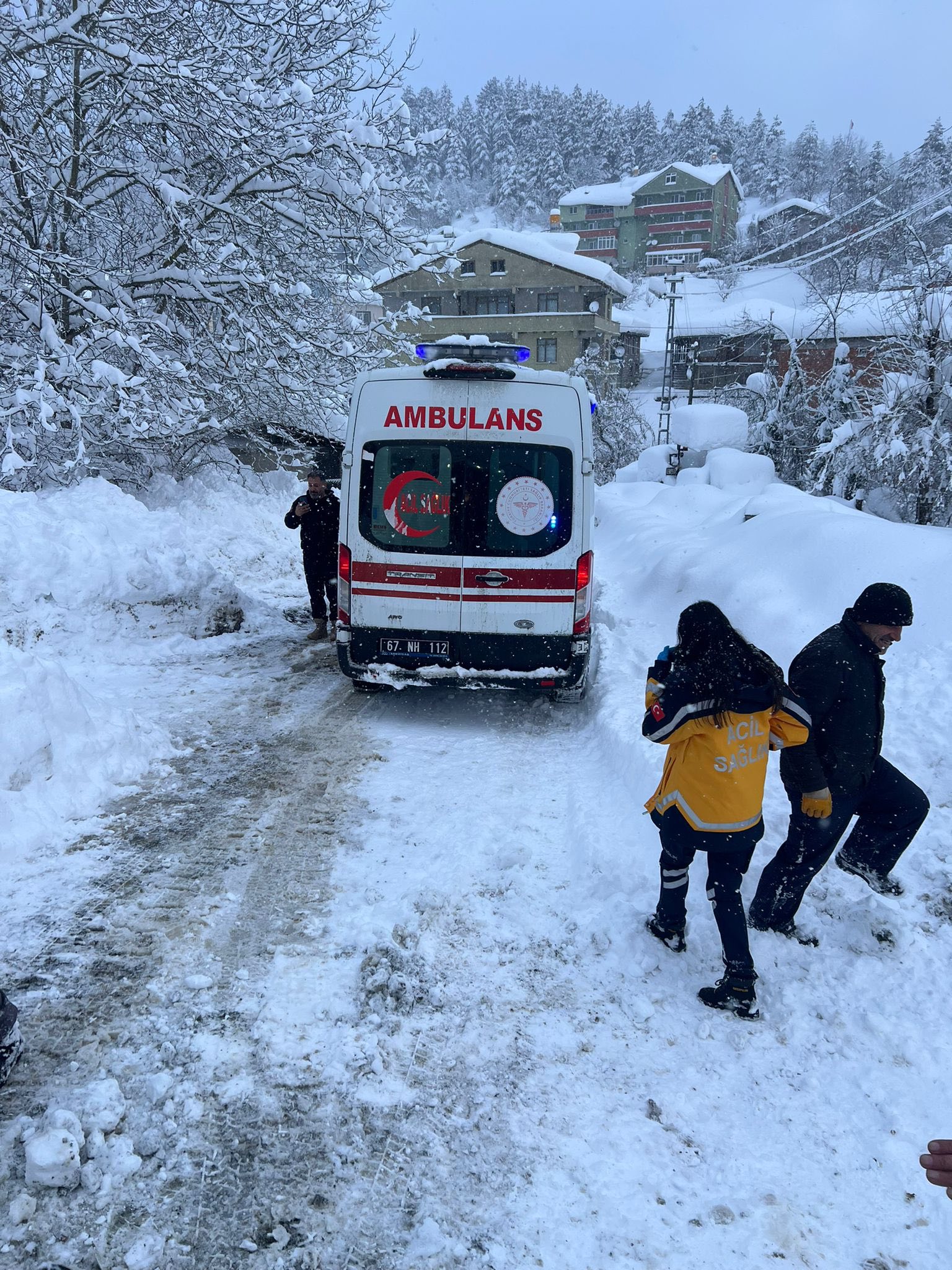 606864880 1290192183149452 7976291042411520410 N