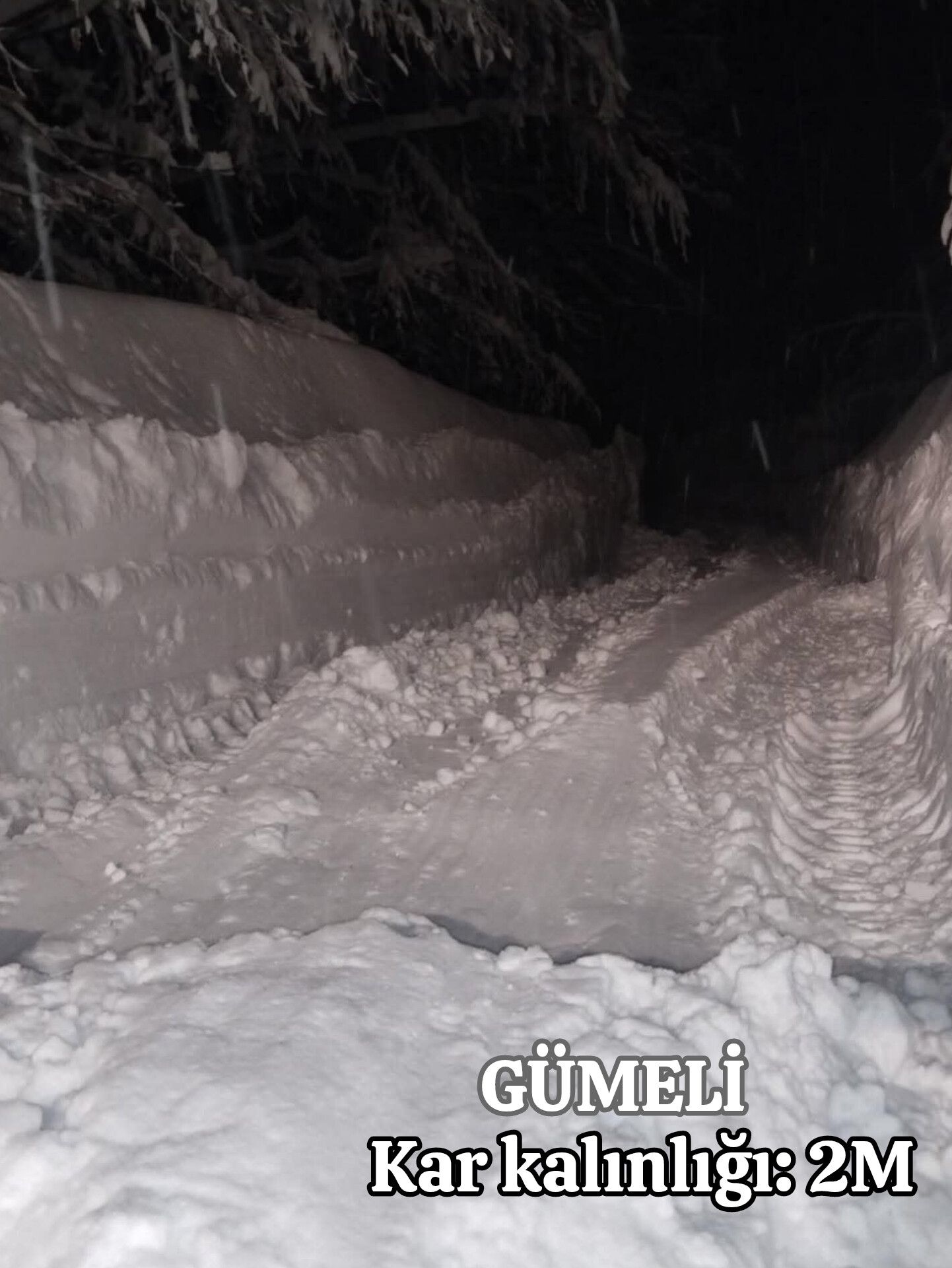 607147996 1394745345773615 4409171907994134139 N-1