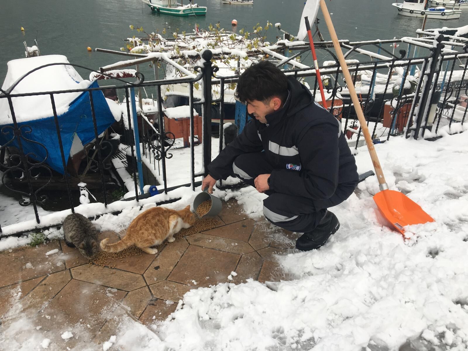 Whatsapp Image 2026 01 01 At 13.39.57