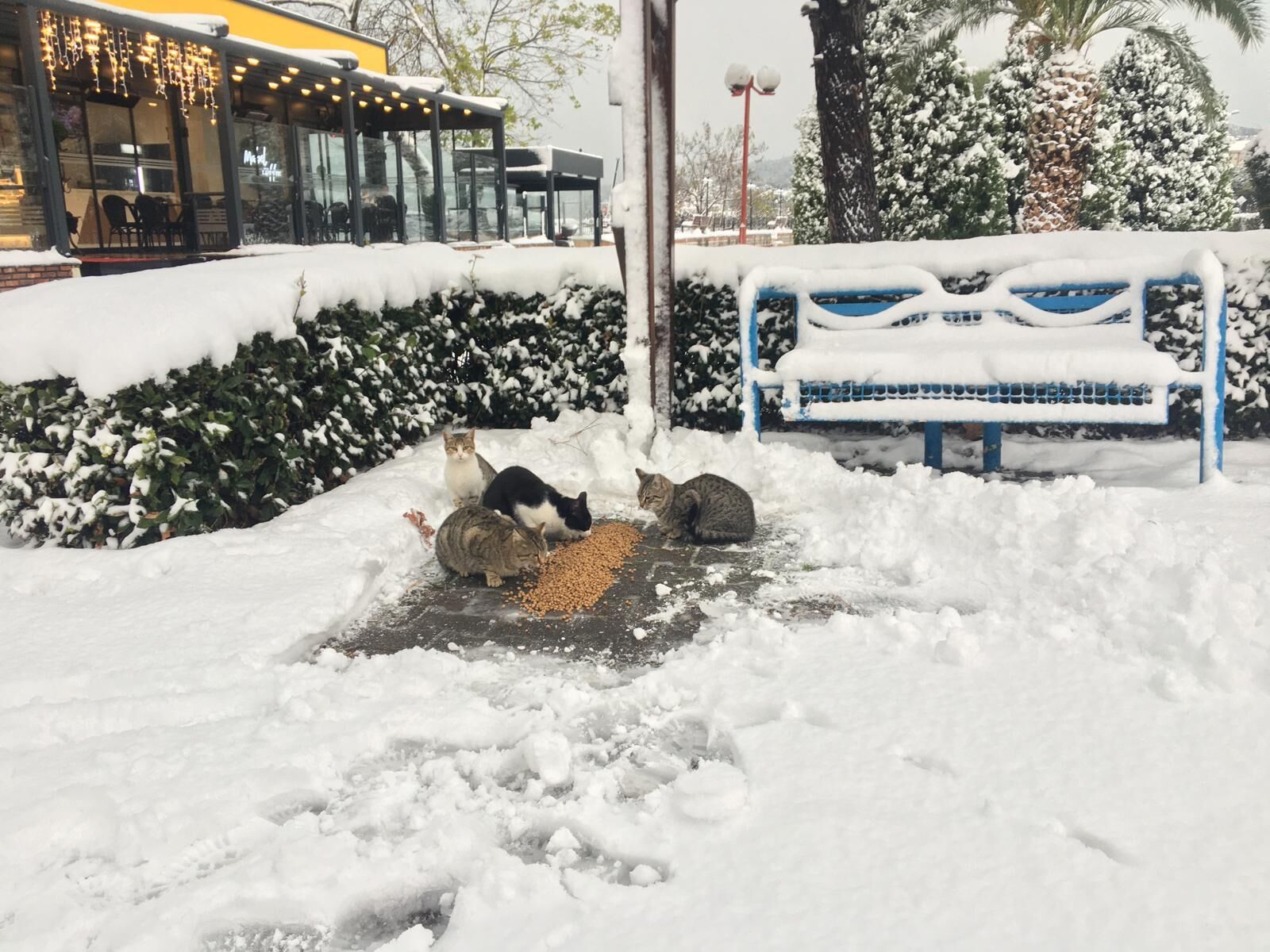 Whatsapp Image 2026 01 01 At 13.39.59