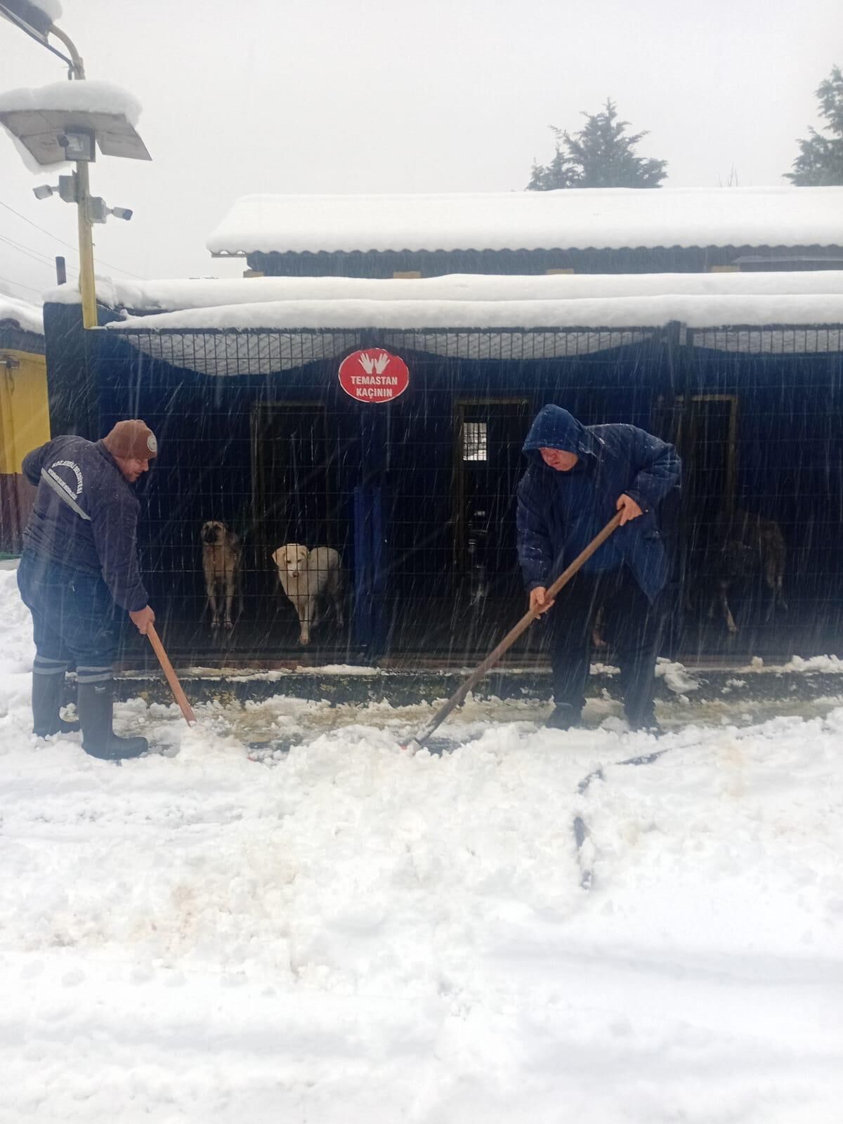 Whatsapp Image 2026 01 01 At 13.40.00