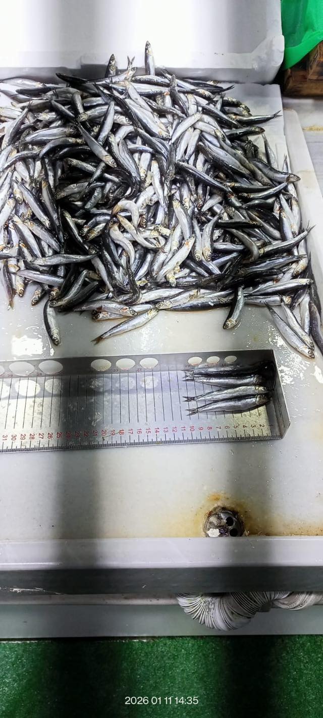 Whatsapp Image 2026 01 13 At 12.34.30