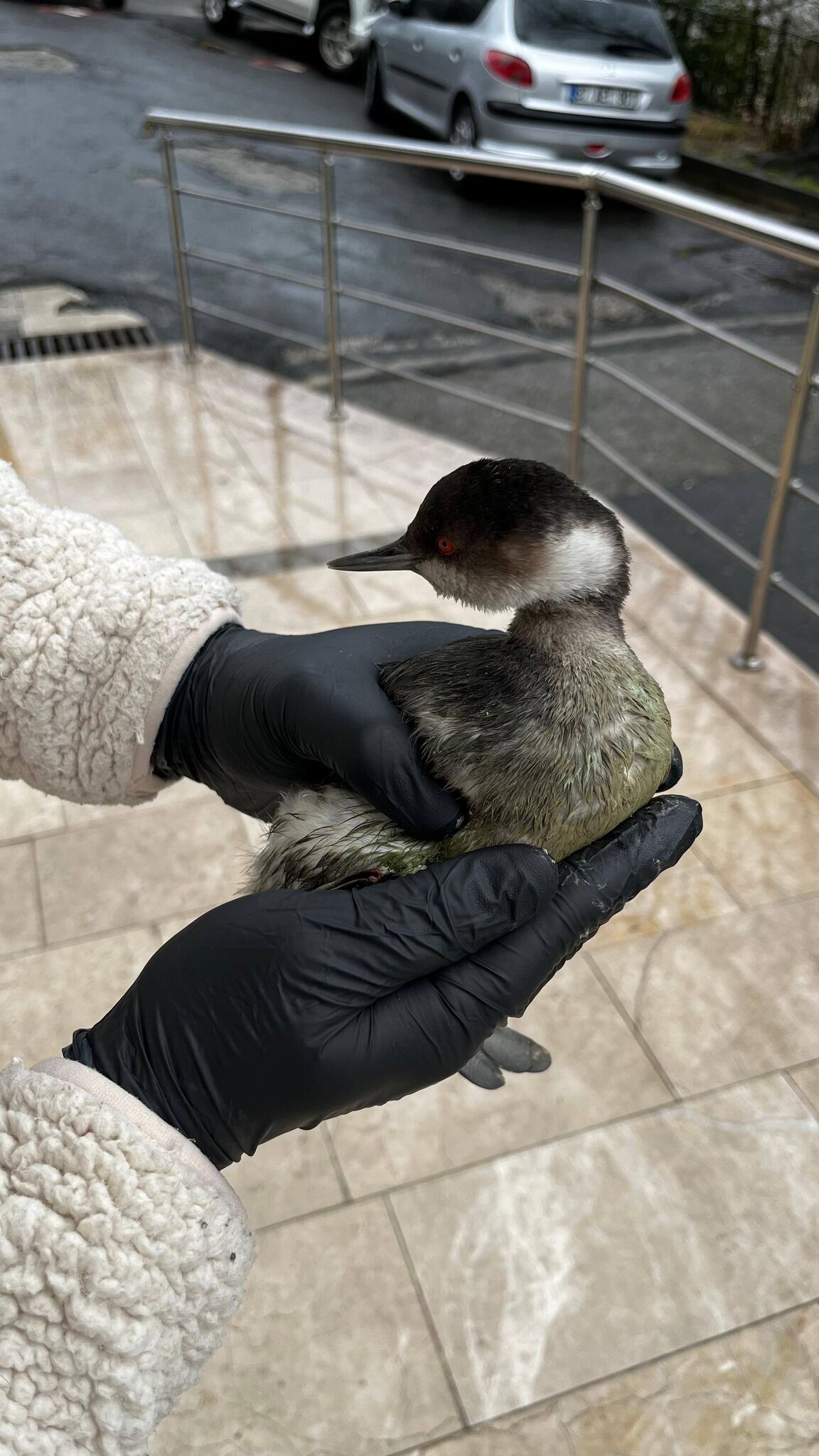 S A H İ P Ç I K T I