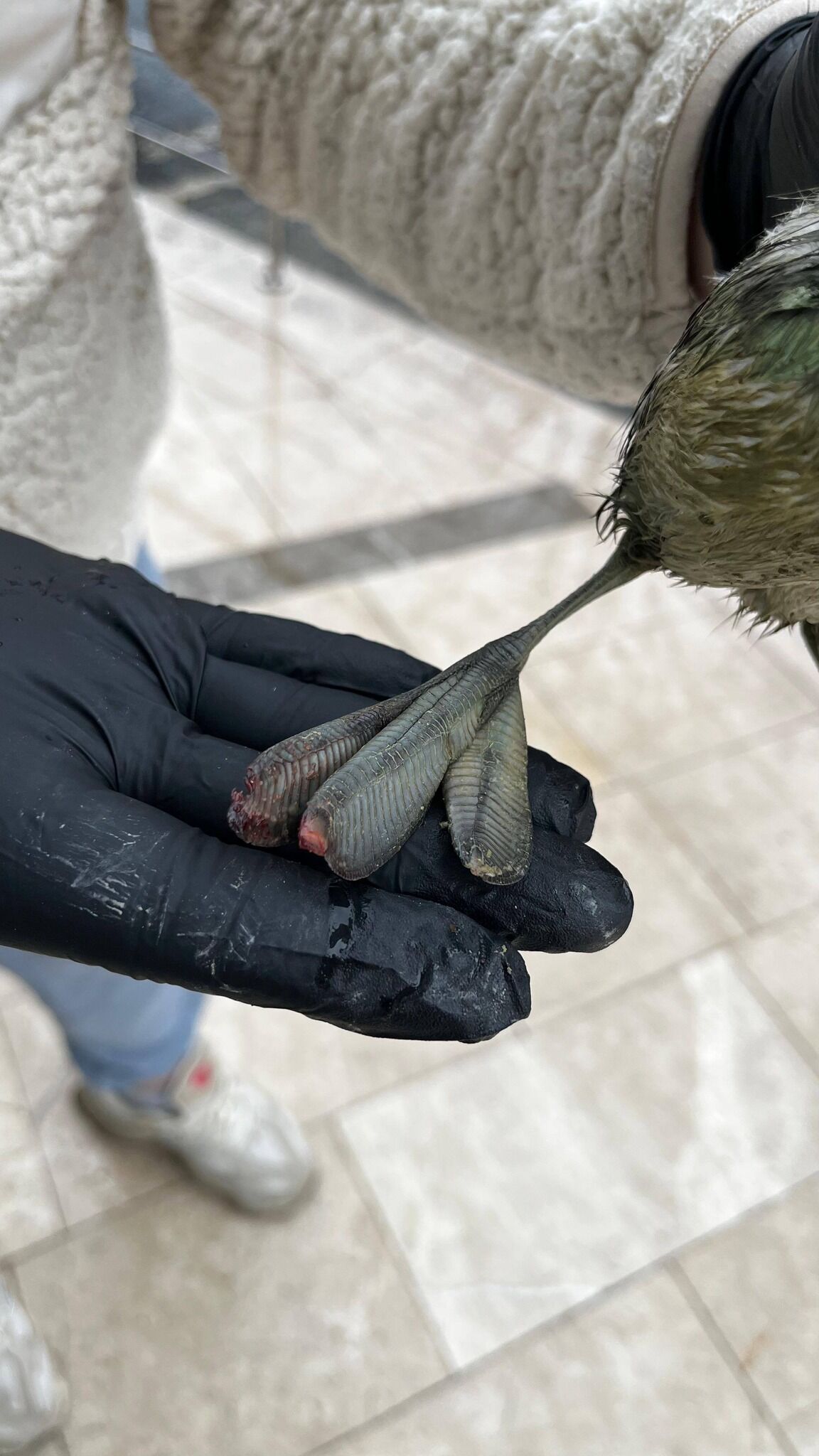 S A H İ P Ç I K T I1