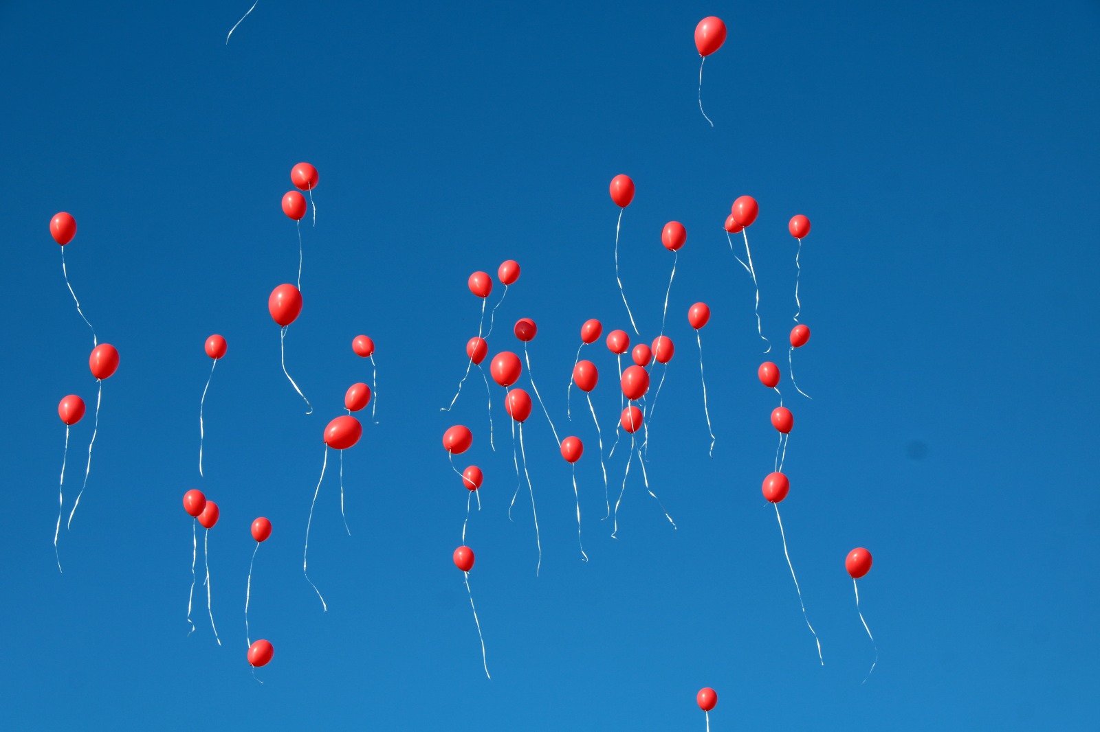 Whatsapp Image 2026 02 14 At 18.13.03