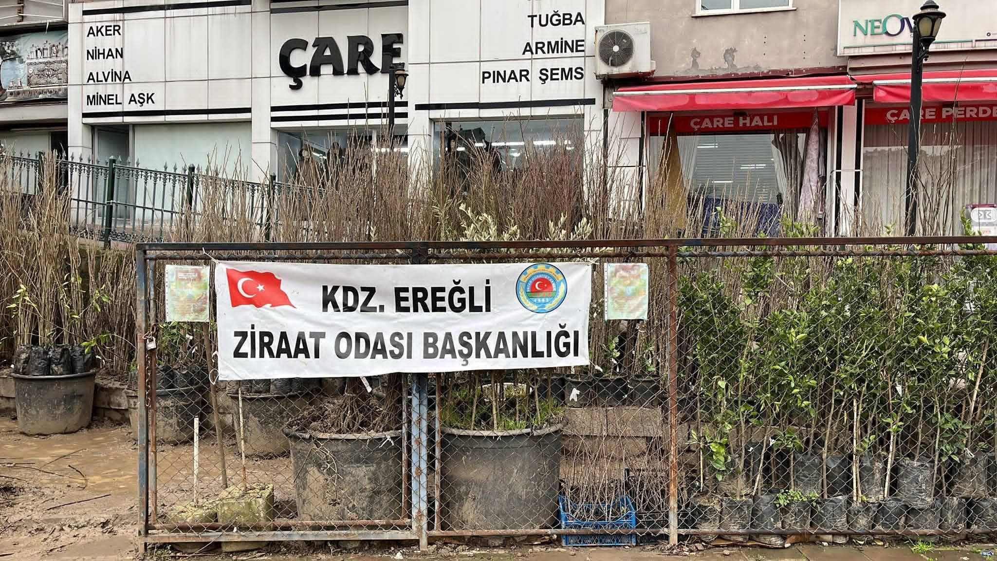 Whatsapp Image 2026 02 23 At 17.20.36 (1)