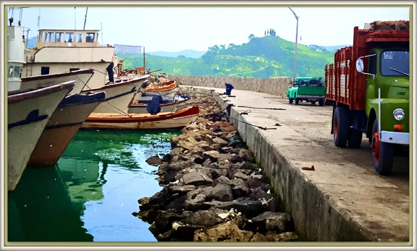 Whatsapp Image 2026 03 11 At 15.28.12 (4)