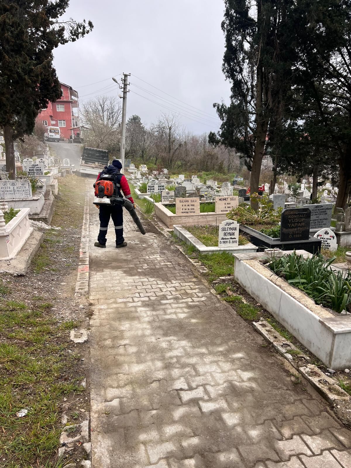 Whatsapp Image 2026 03 16 At 13.00.46