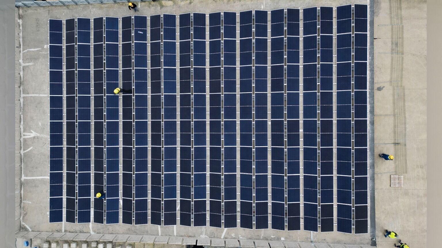 Whatsapp Image 2026 03 17 At 10.55.49