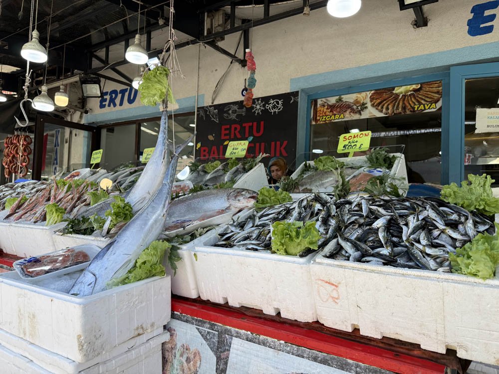 A A 20260413 41093124 41093123 B A T I K A R A D E N I Z V E D O G U M A R M A R A D A B A L I K C I L A R B U S E Z O N U M D U G U N U B U L A M A D I