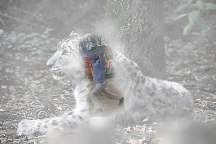 EREĞLİ SAHİLİNDE PANTER!