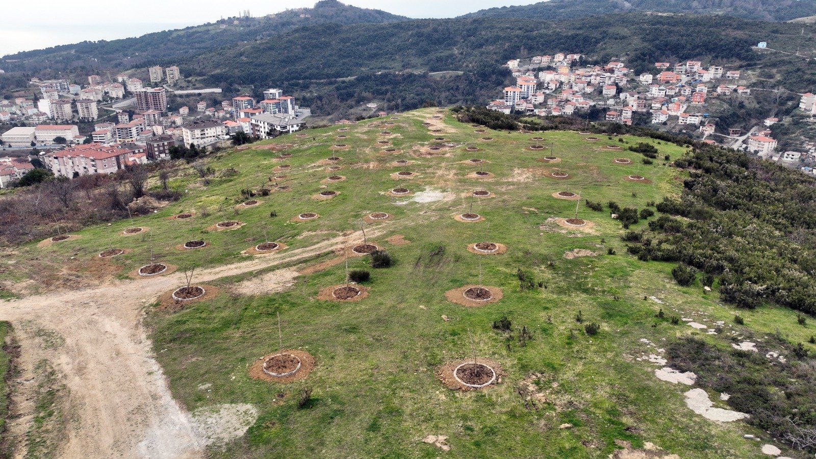 Whatsapp Image 2026 04 06 At 14.08.49 (2)