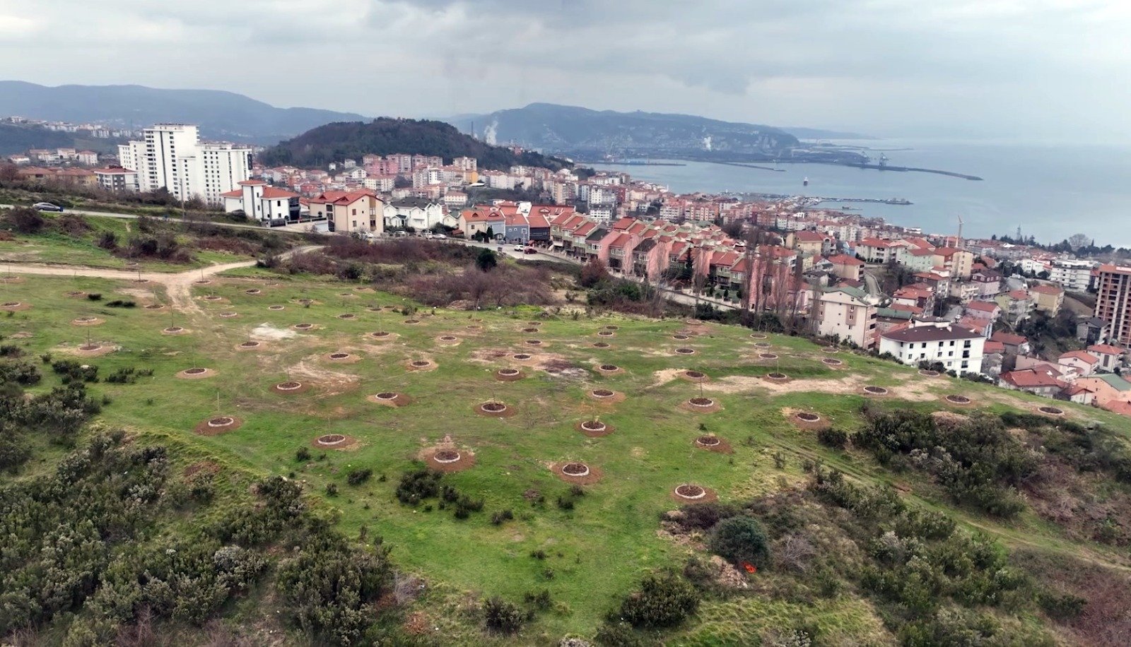 Whatsapp Image 2026 04 06 At 14.08.49