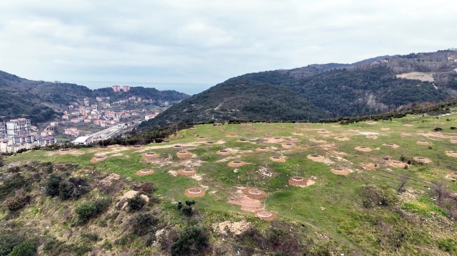 Whatsapp Image 2026 04 06 At 14.08.50