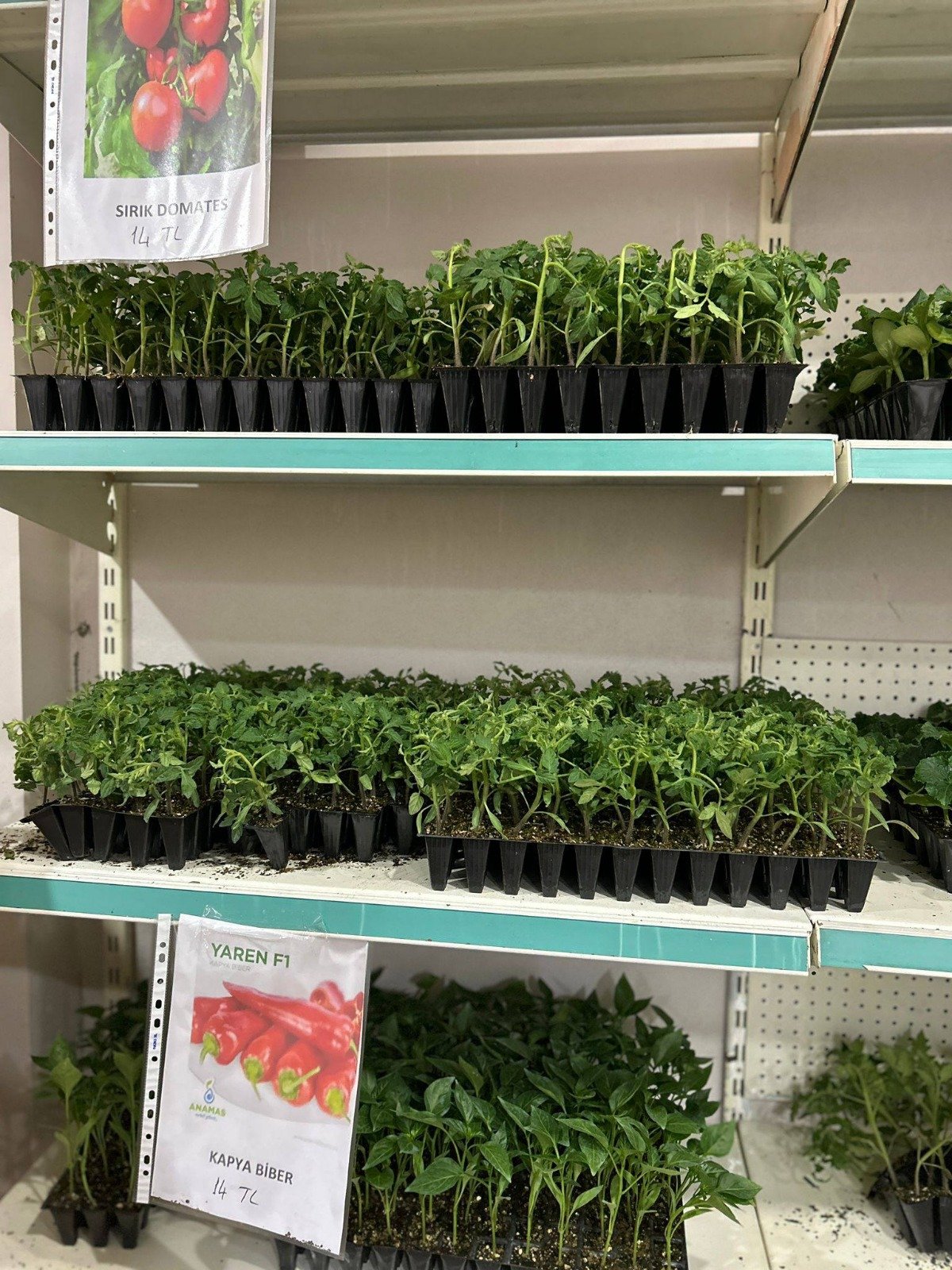 Whatsapp Image 2026 04 06 At 14.59.09