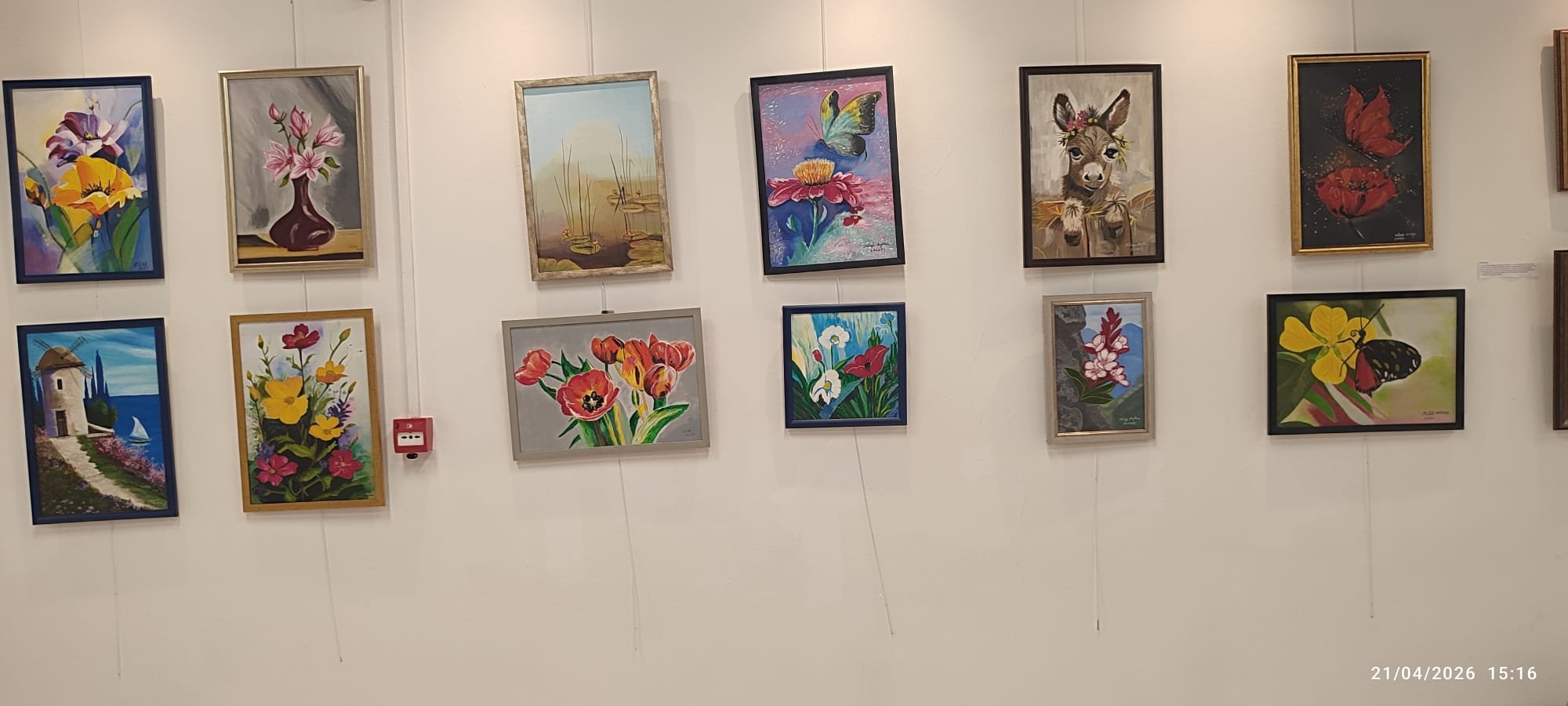 Whatsapp Image 2026 04 22 At 10.26.54 (2)