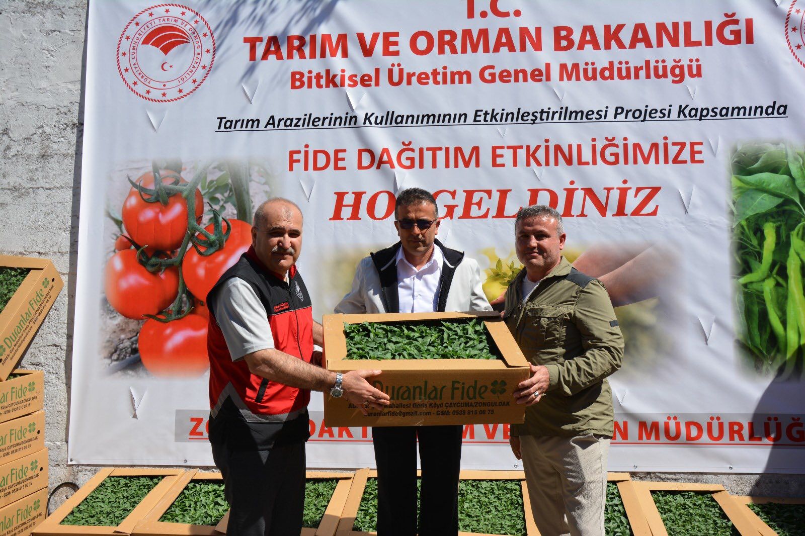 Fide Orman3