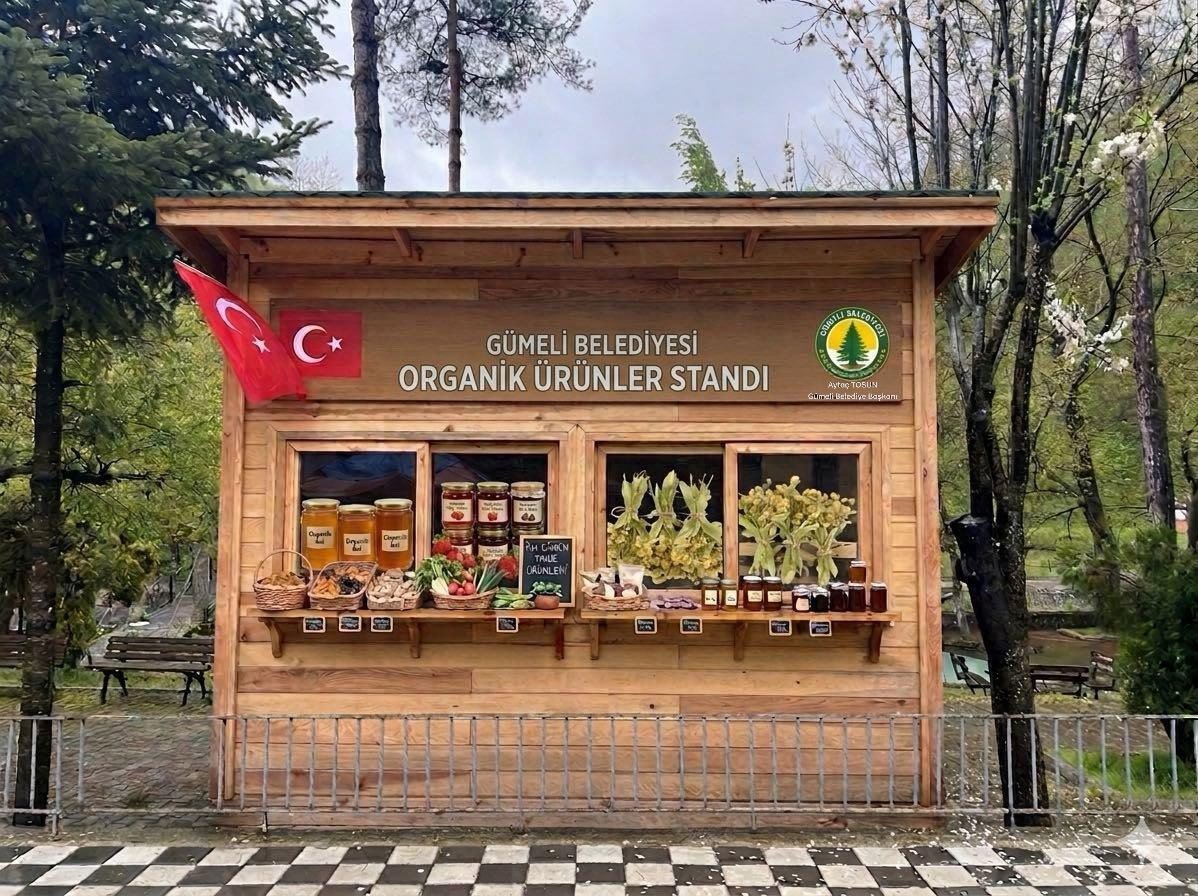 Gümeli-3