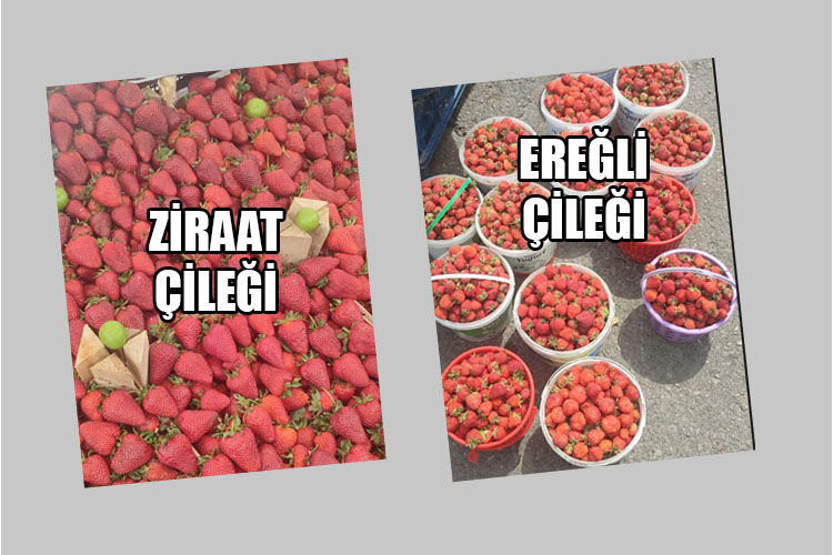 Çi̇lek Lıksız 1