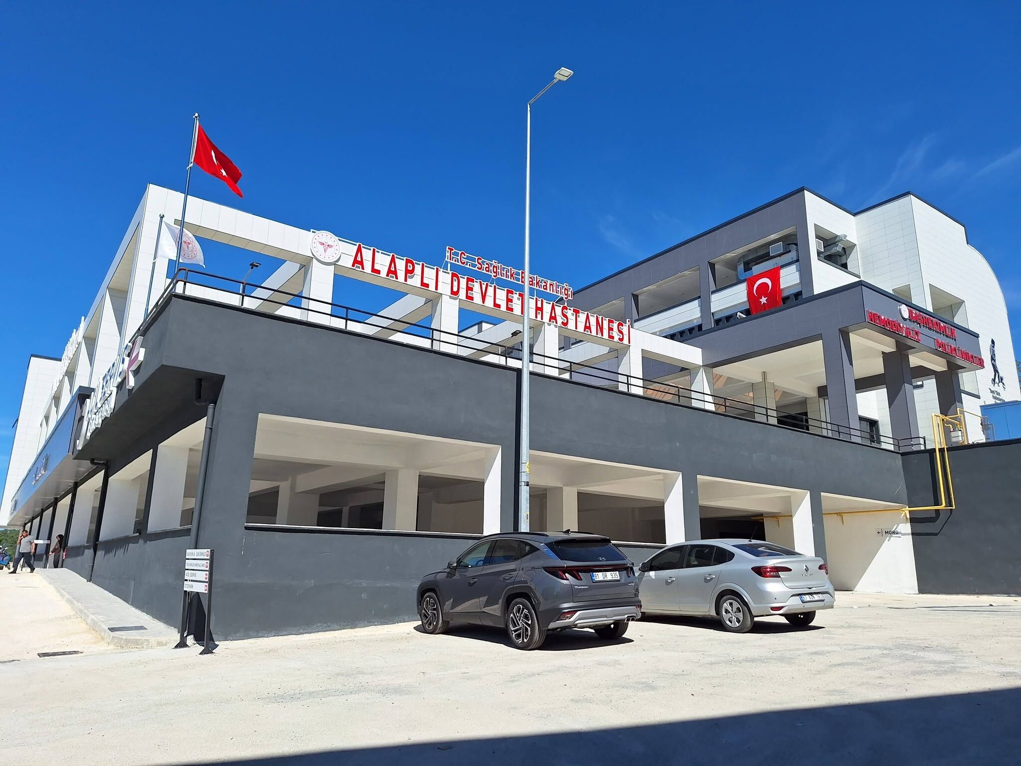 Hastanealaplı