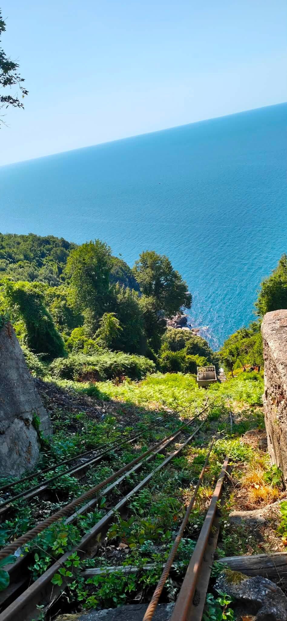 Tarım2