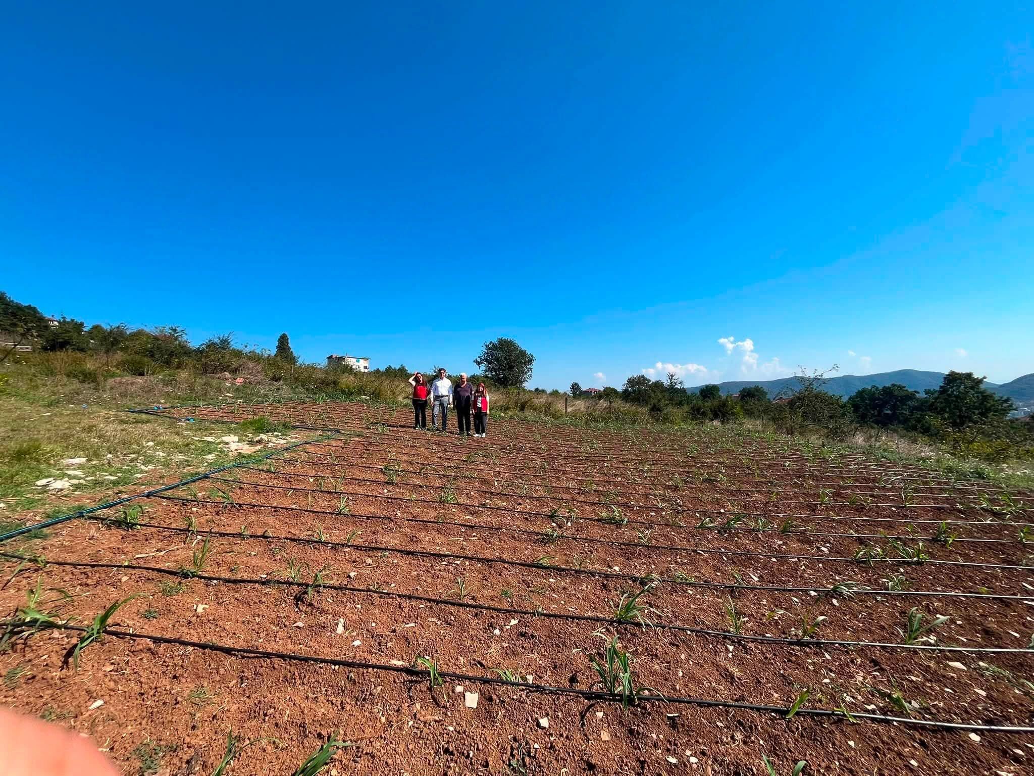 781339073 1830327608096110 4316549973961040479 N