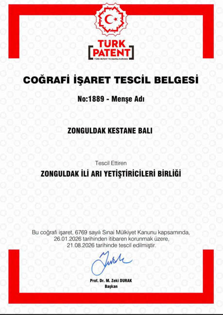 Bakestanebalışlıksız 4