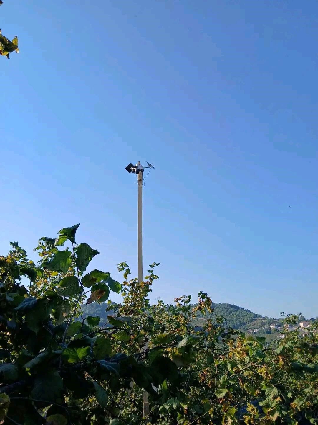 Fındık Kamera