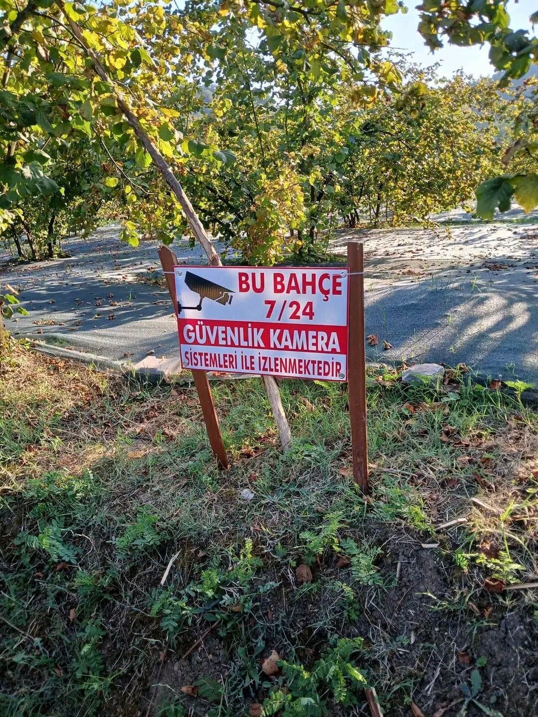 Fındık Kamera3
