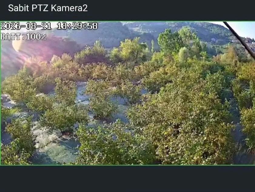 Fındık Kamera4