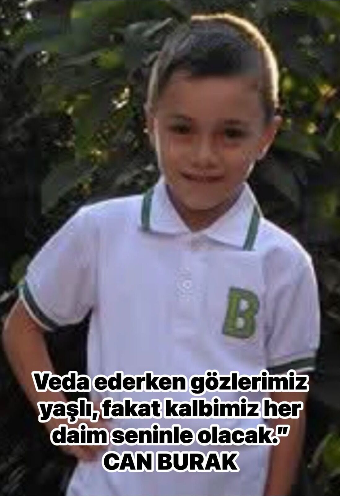 I M G 20260809 W A0001