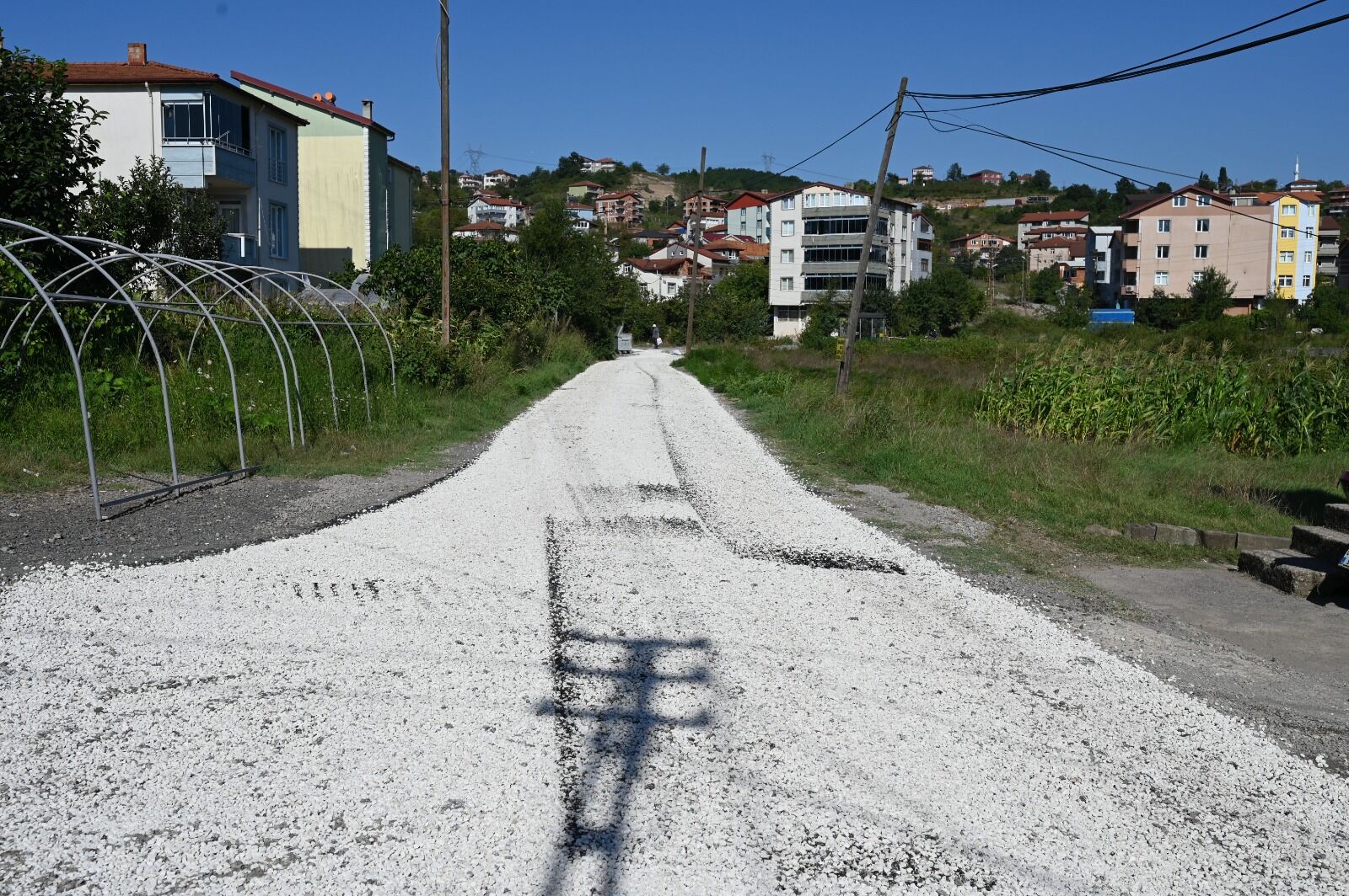 Whatsapp Image 2026 08 18 At 14.10.03
