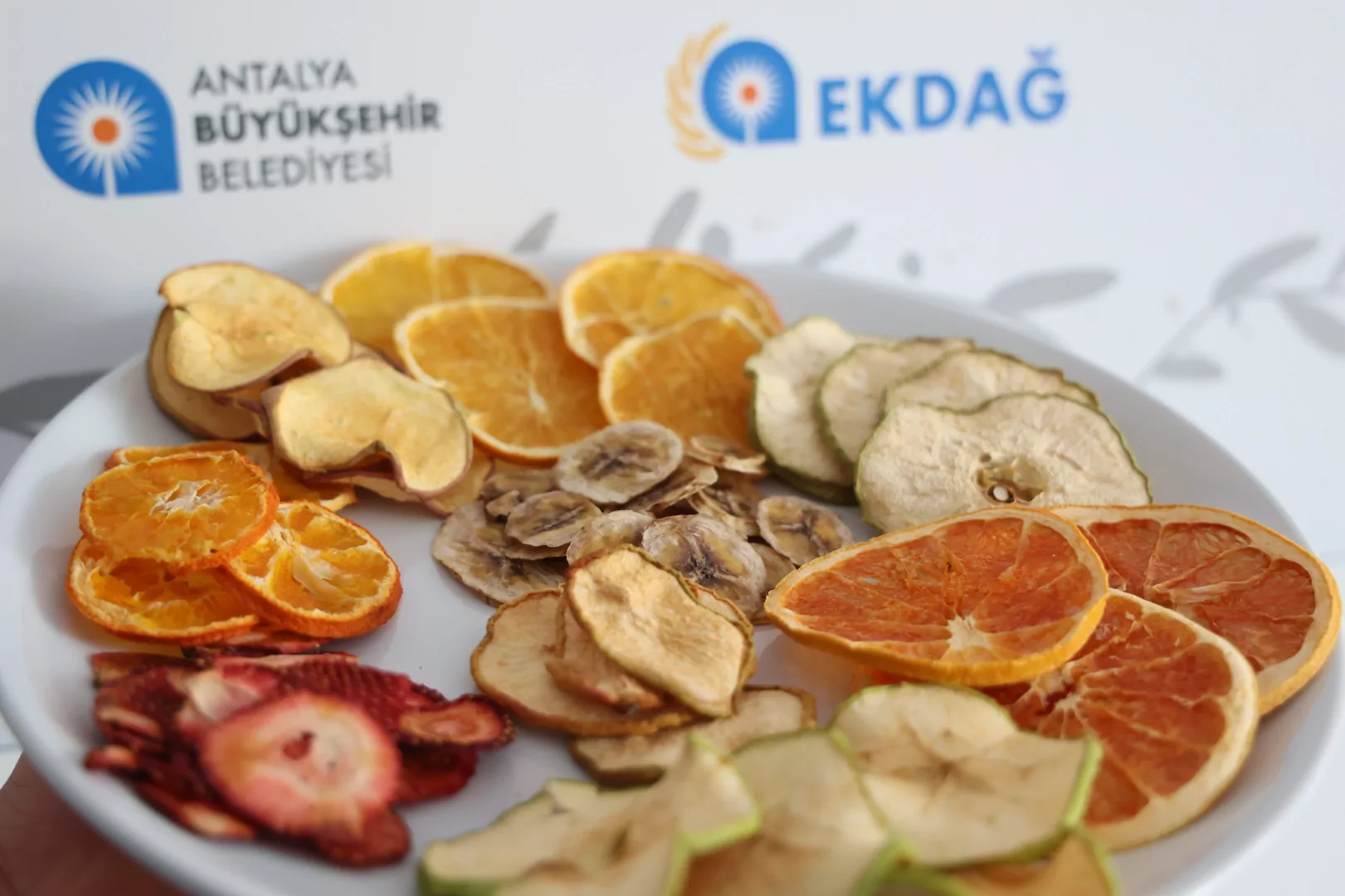 Antalya'da Meyve-Sebze Kurutma Tesisi hizmete girdi