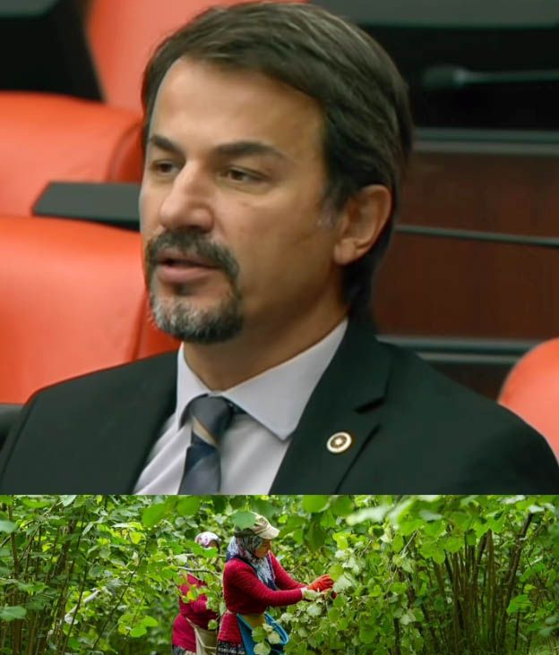 Eylem Ertuğrul Başlıksız 1