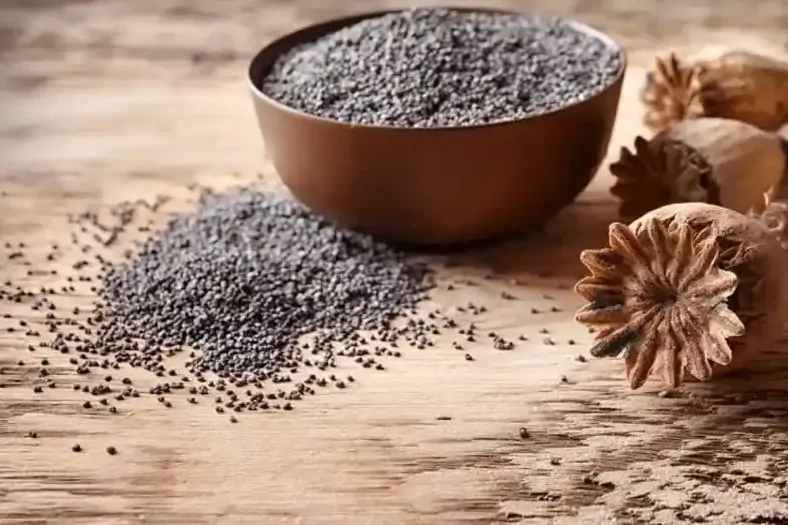 Haşhaş alım fiyatları belli oldu... Başvurular 30 Ekim'de sona erecek