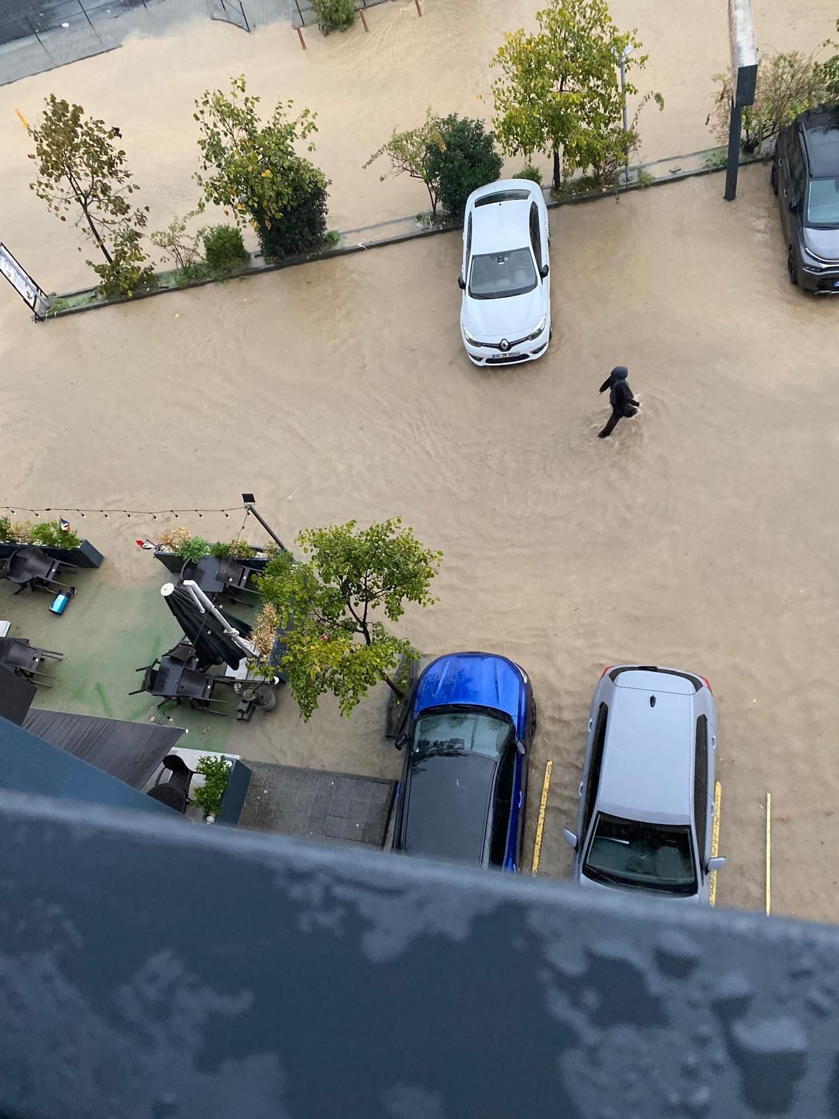 I M G 20261015 W A0008